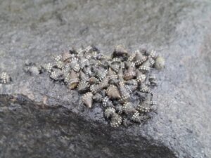 Follow @hynailinc on Instagram