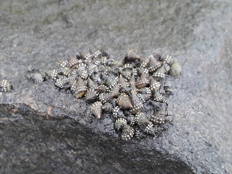 Nail salon interior Hy Nails Inc Cambridge